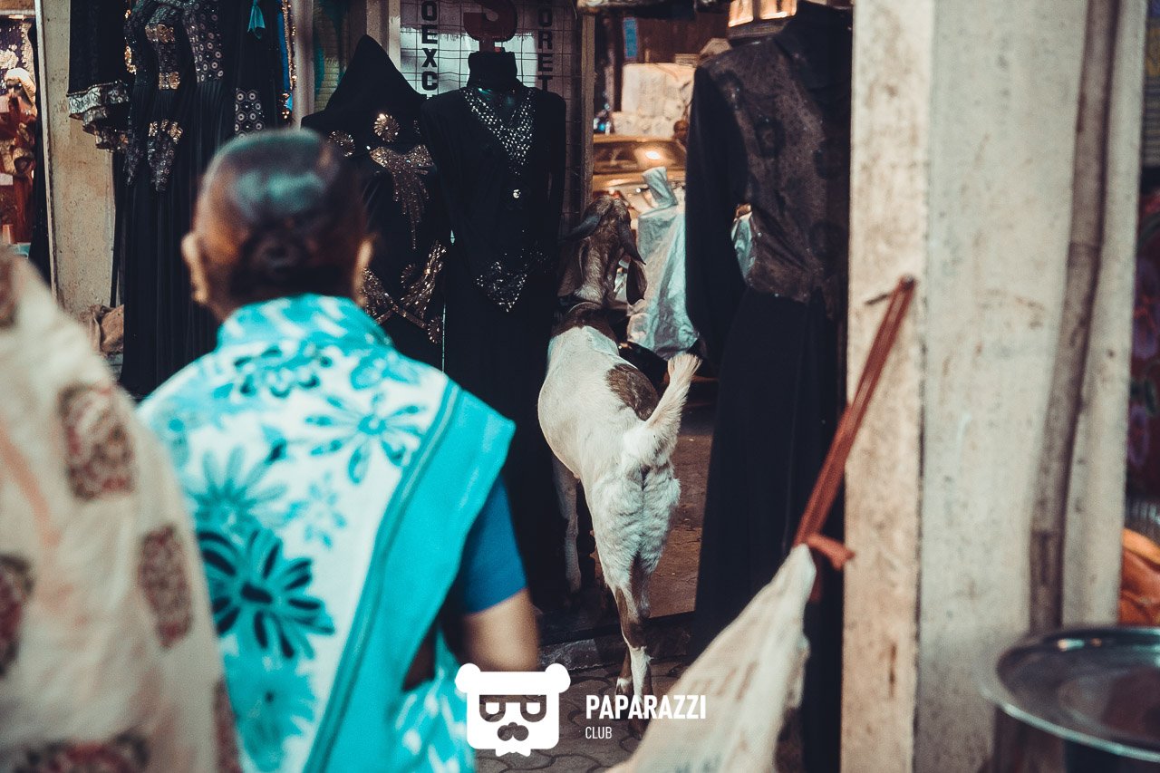 Телепроект "Наши люди". Дели Астана 04/08/2018 Телепроект "Наши люди". Дели