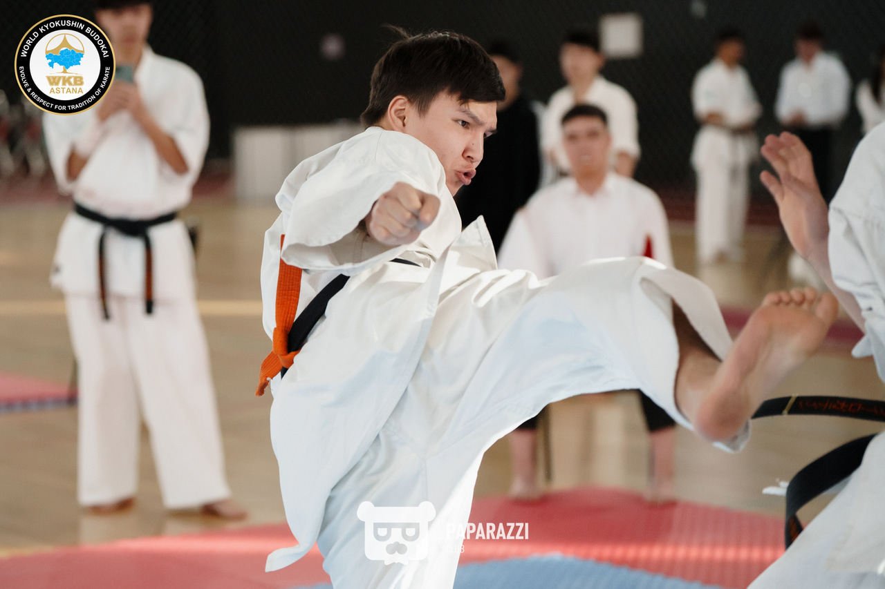 Республиканский турнир “Astana OPEN” по Кёкушин Будокай Каратэ Астана 22.02.2025 Республиканский турнир “Astana OPEN” по Кёкушин Будокай Каратэ