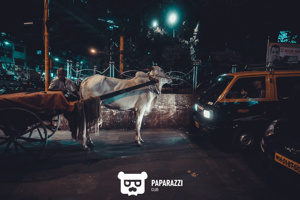 Телепроект "Наши люди". Дели Астана 04/08/2018 Телепроект "Наши люди". Дели