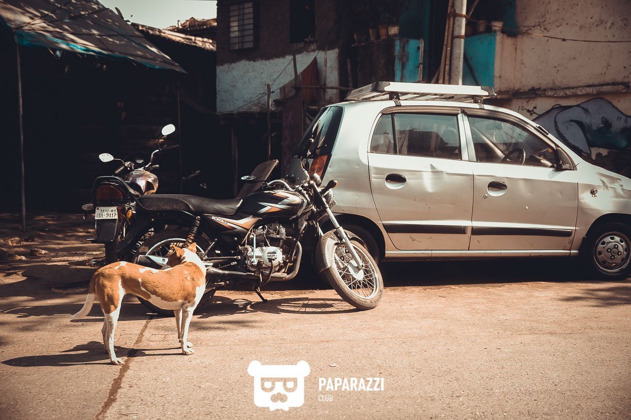 Телепроект "Наши люди". Дели Астана 04/08/2018 Телепроект "Наши люди". Дели