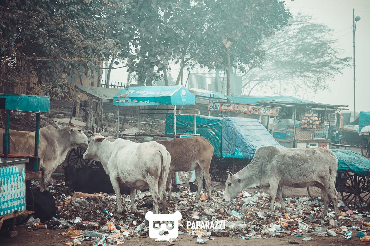 Телепроект "Наши люди". Дели Астана 04/08/2018 Телепроект "Наши люди". Дели