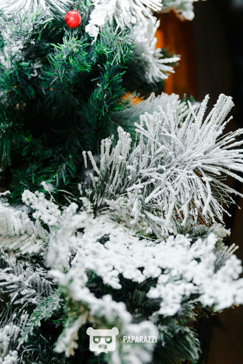 Animus Quiz Астана 09.12.2022 Animus Quiz