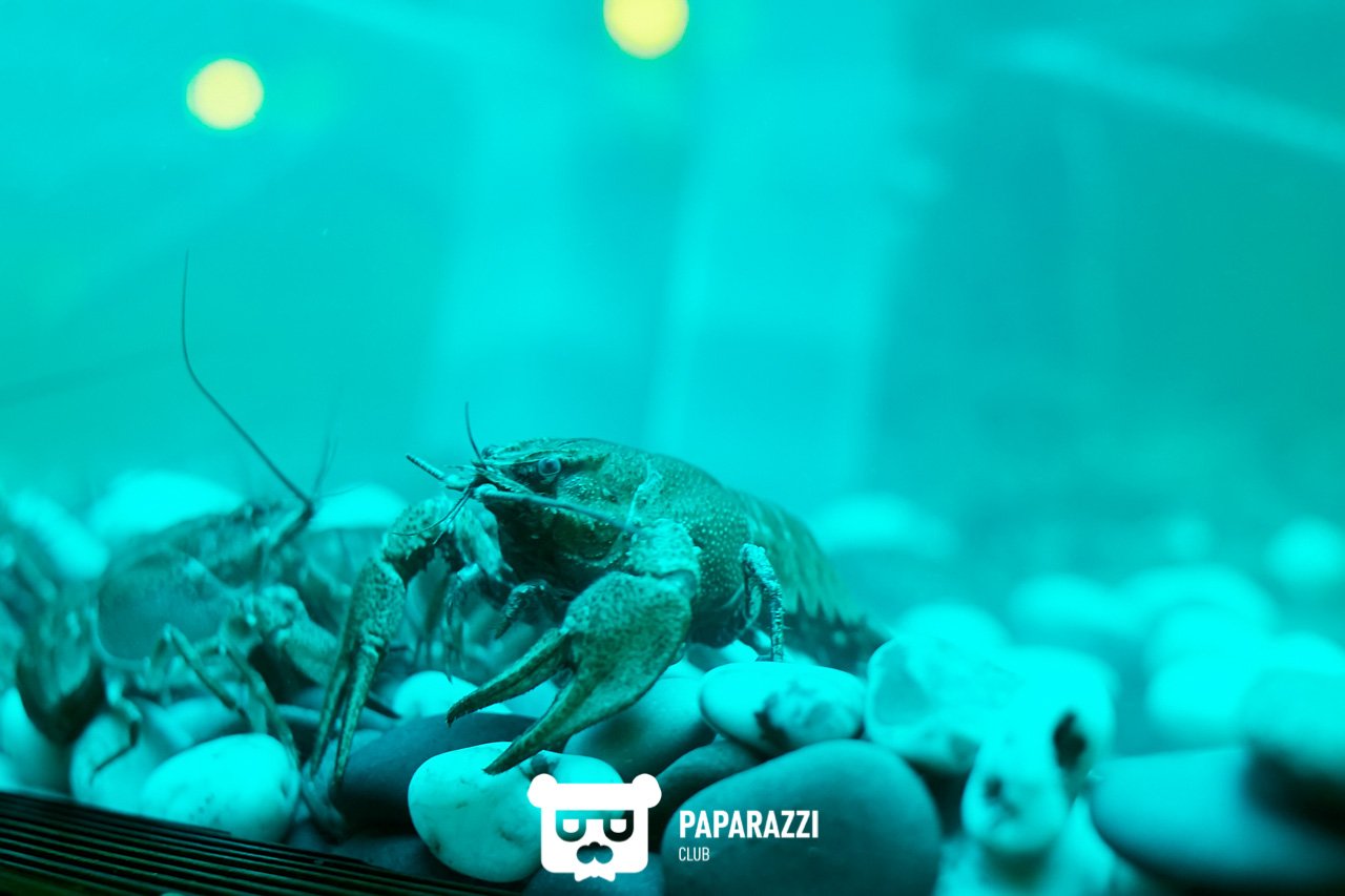 Бар "ВОБЛА" Астана 28.07.2017 Бар "ВОБЛА"