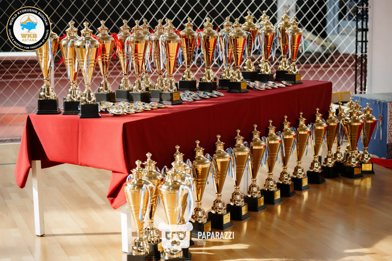 Республиканский турнир “Astana OPEN” по Кёкушин Будокай Каратэ Астана 22.02.2025 Республиканский турнир “Astana OPEN” по Кёкушин Будокай Каратэ