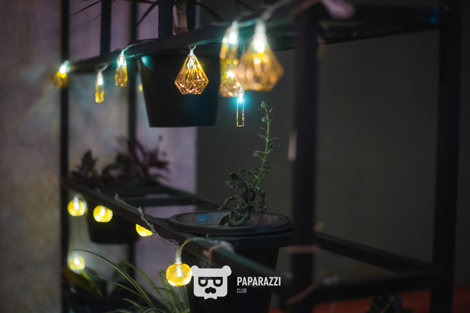 HookahPlace Астана 22.02.2020 HookahPlace