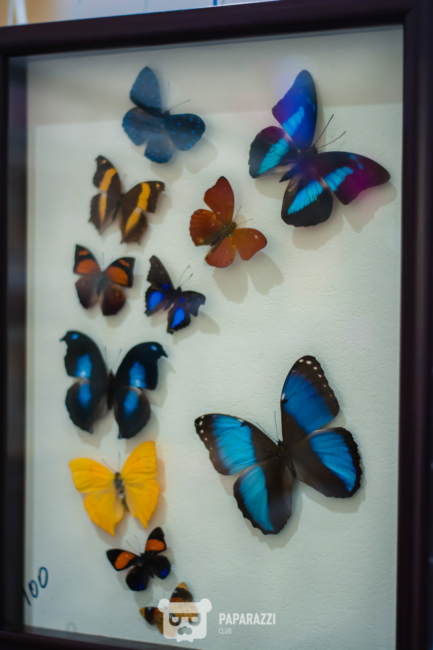 CHRISTMAS MARKET by AFF Астана 22.12.2018 CHRISTMAS MARKET by AFF