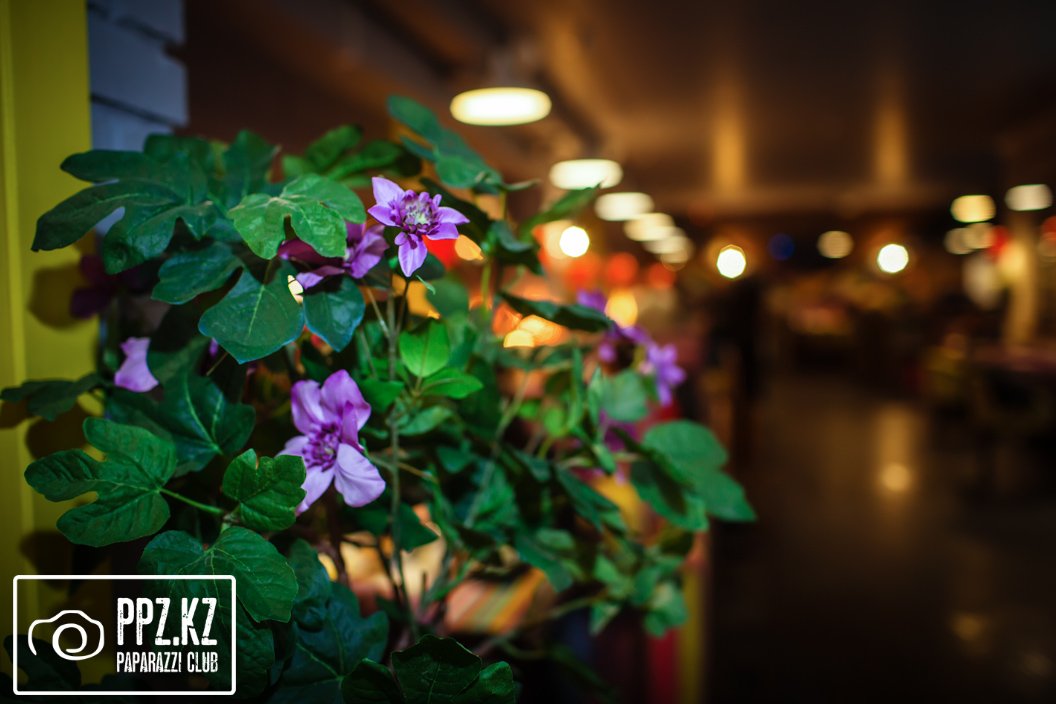 Coffee Boom на Ш.Кудайбердыулы @ День Влюбленных Астана 14.02.2015 Coffee Boom на Ш.Кудайбердыулы @ День Влюбленных